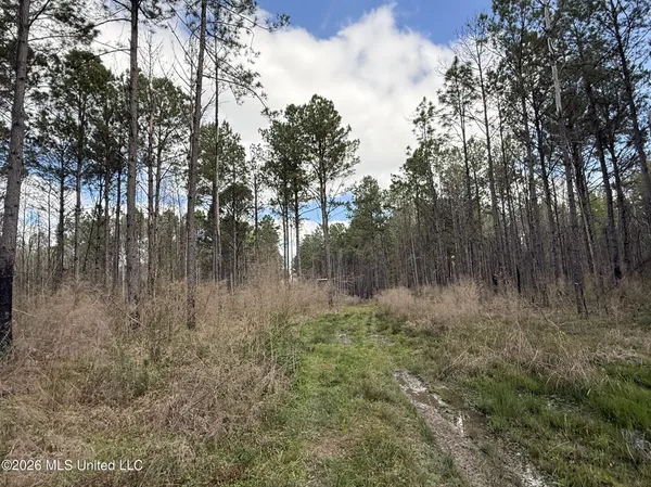 $994,000 | Oldenburg Road, Meadville, MS 39653
