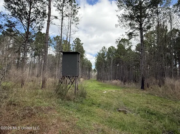 $994,000 | Oldenburg Road, Meadville, MS 39653
