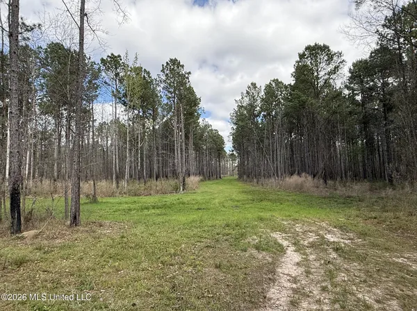$994,000 | Oldenburg Road, Meadville, MS 39653