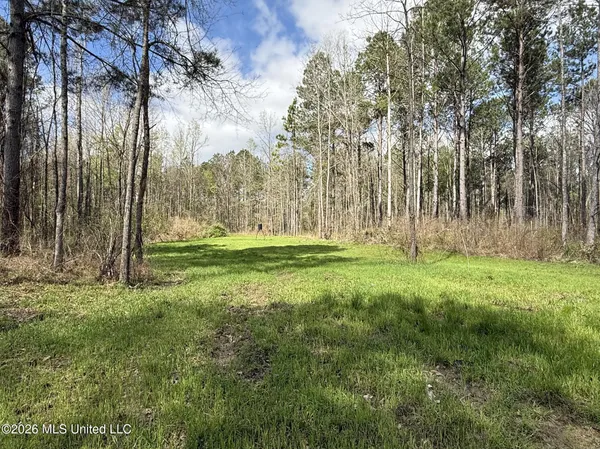 $994,000 | Oldenburg Road, Meadville, MS 39653