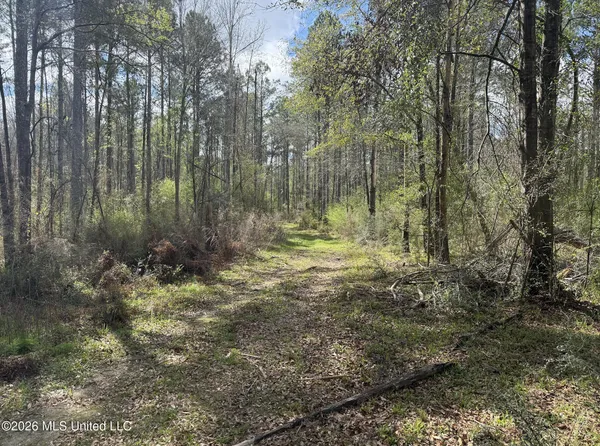 $994,000 | Oldenburg Road, Meadville, MS 39653