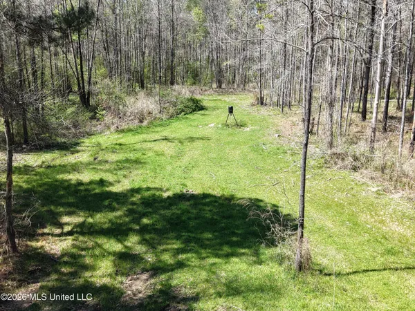 $994,000 | Oldenburg Road, Meadville, MS 39653