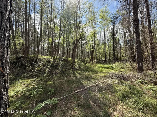 $994,000 | Oldenburg Road, Meadville, MS 39653