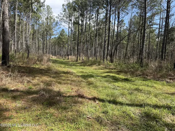 $994,000 | Oldenburg Road, Meadville, MS 39653