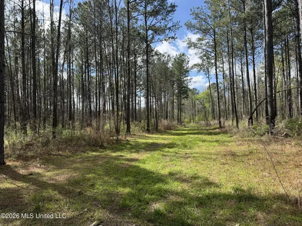 $994,000 | Oldenburg Road, Meadville, MS 39653