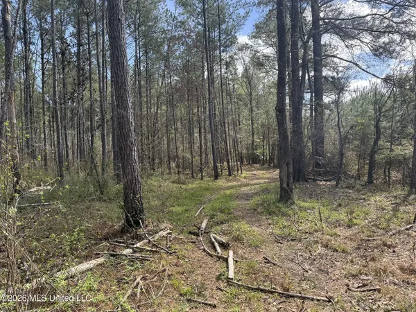 $994,000 | Oldenburg Road, Meadville, MS 39653