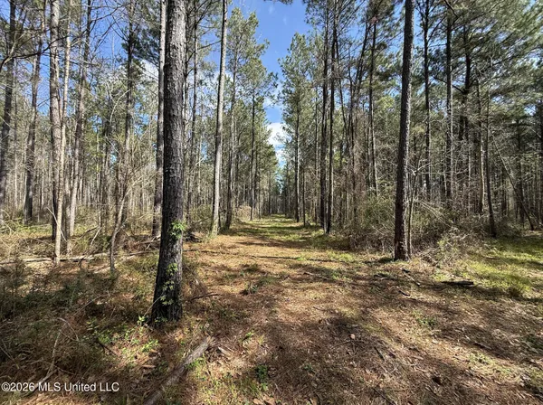 $994,000 | Oldenburg Road, Meadville, MS 39653