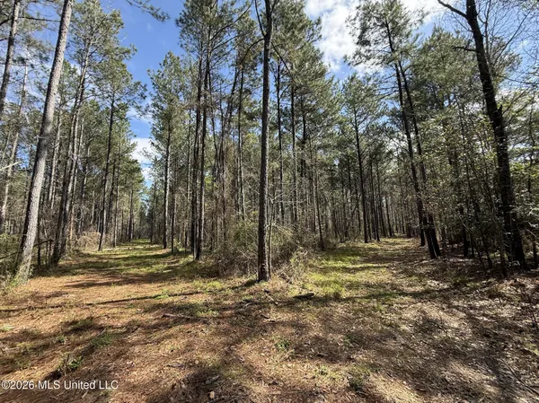 $994,000 | Oldenburg Road, Meadville, MS 39653