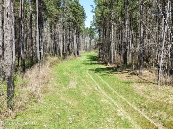 $994,000 | Oldenburg Road, Meadville, MS 39653