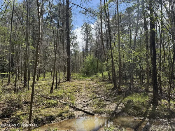 $994,000 | Oldenburg Road, Meadville, MS 39653