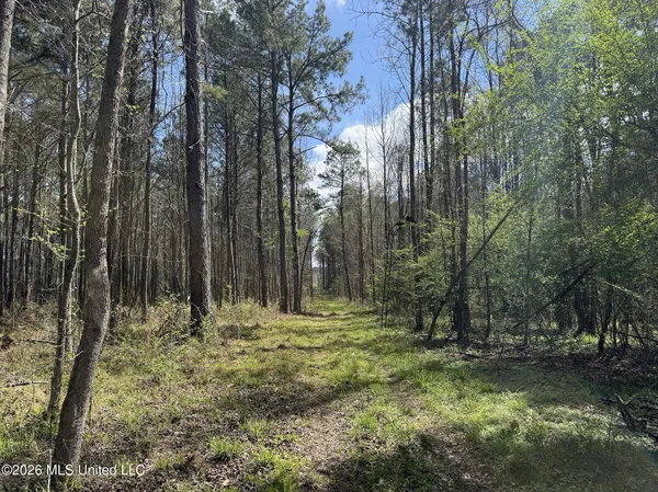$994,000 | Oldenburg Road, Meadville, MS 39653