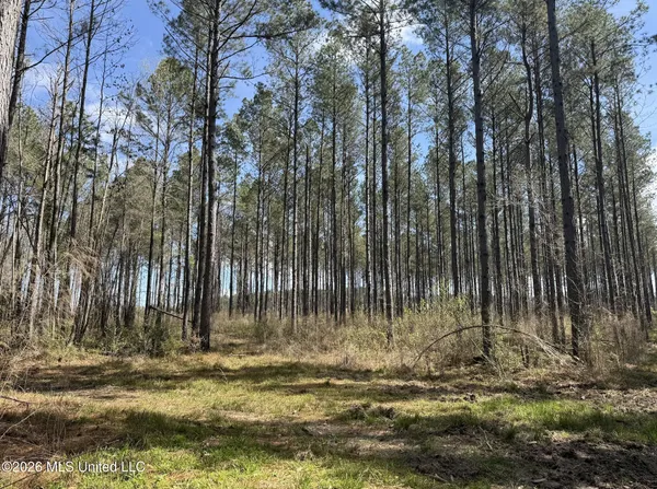 $994,000 | Oldenburg Road, Meadville, MS 39653