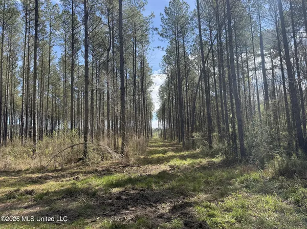 $994,000 | Oldenburg Road, Meadville, MS 39653