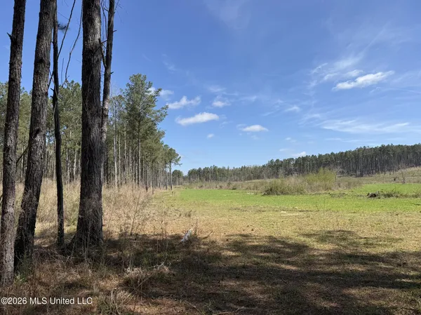 $994,000 | Oldenburg Road, Meadville, MS 39653