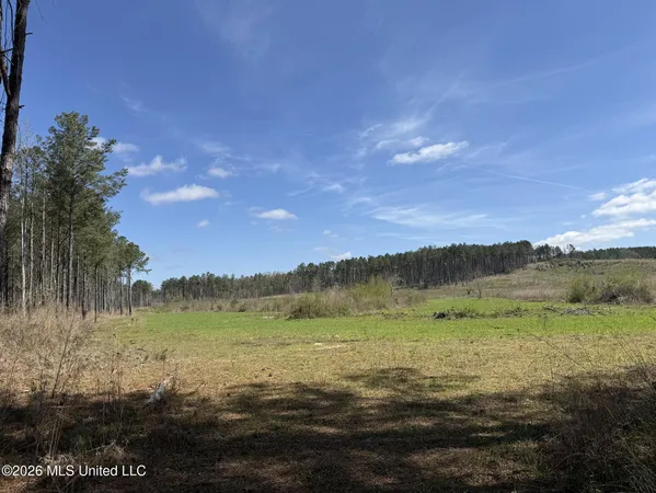 $994,000 | Oldenburg Road, Meadville, MS 39653