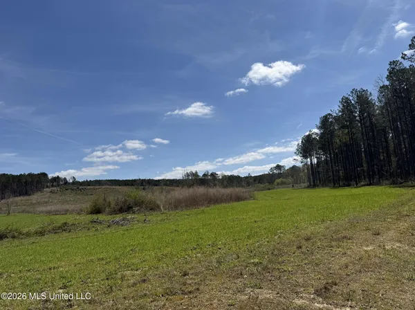 $994,000 | Oldenburg Road, Meadville, MS 39653
