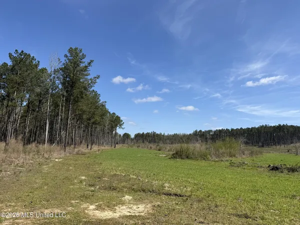 $994,000 | Oldenburg Road, Meadville, MS 39653