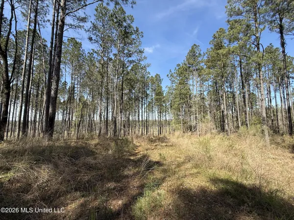 $994,000 | Oldenburg Road, Meadville, MS 39653