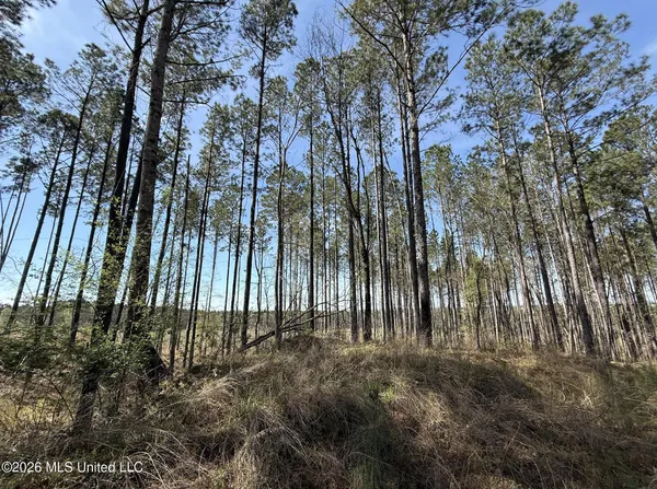 $994,000 | Oldenburg Road, Meadville, MS 39653