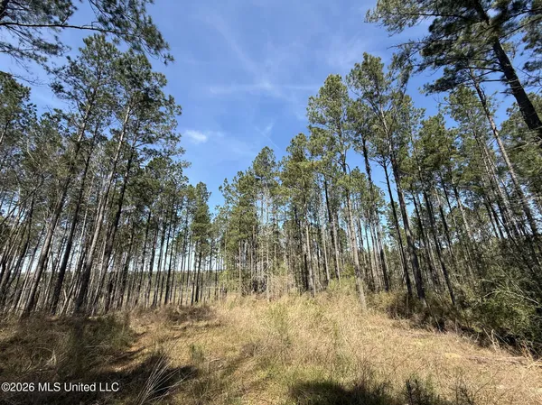 $994,000 | Oldenburg Road, Meadville, MS 39653