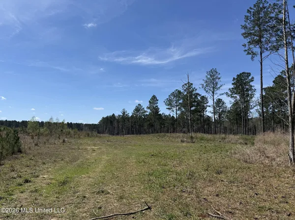 $994,000 | Oldenburg Road, Meadville, MS 39653