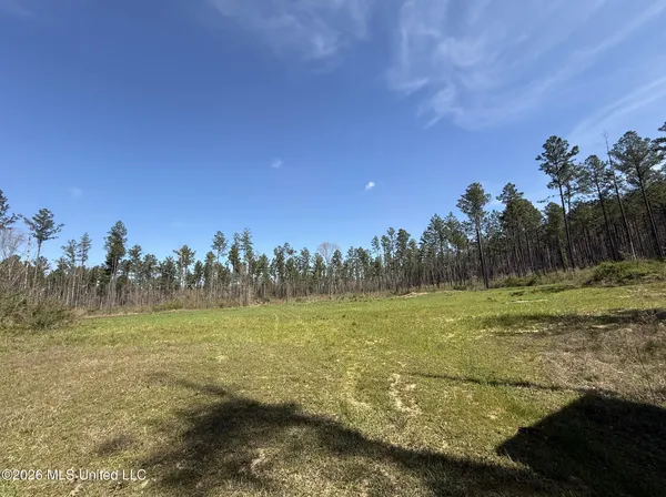 $994,000 | Oldenburg Road, Meadville, MS 39653