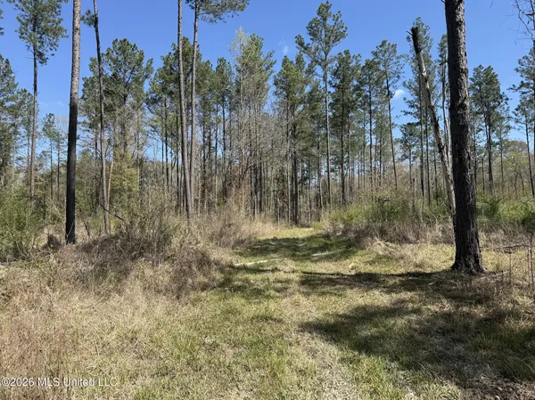 $994,000 | Oldenburg Road, Meadville, MS 39653