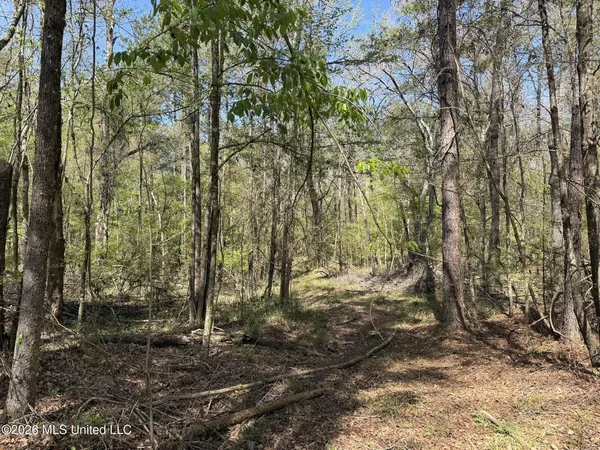 $994,000 | Oldenburg Road, Meadville, MS 39653