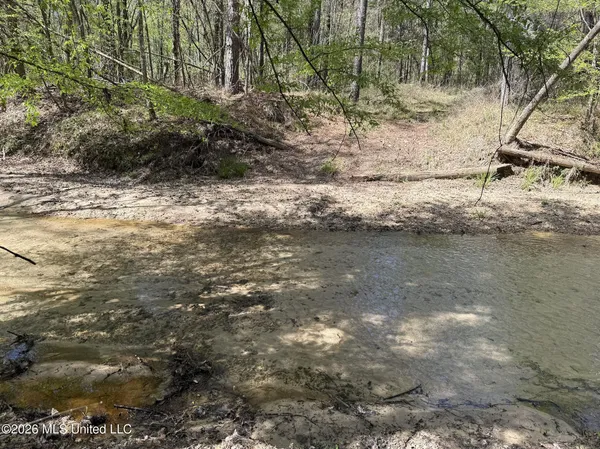 $994,000 | Oldenburg Road, Meadville, MS 39653