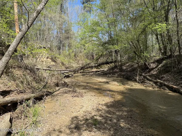 $994,000 | Oldenburg Road, Meadville, MS 39653