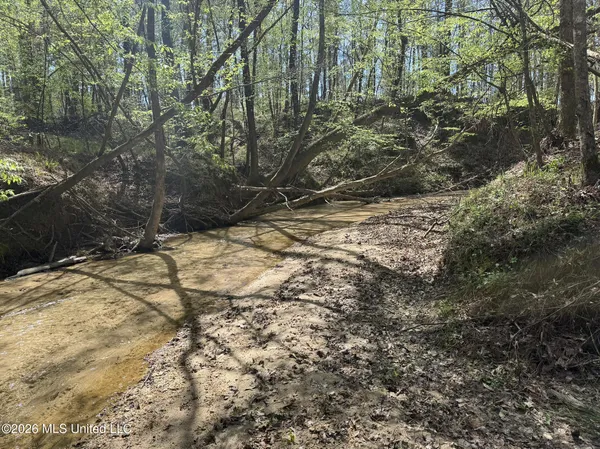 $994,000 | Oldenburg Road, Meadville, MS 39653