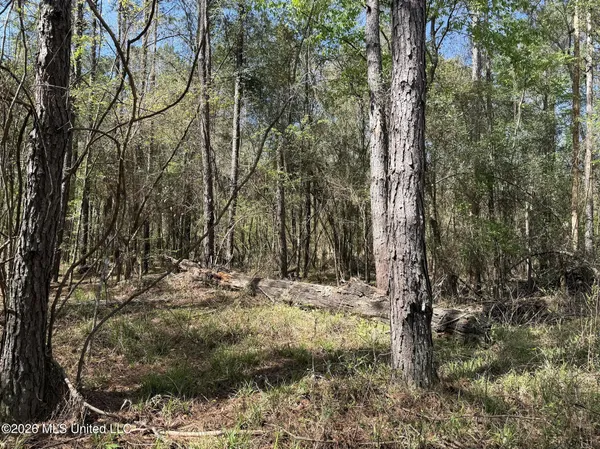 $994,000 | Oldenburg Road, Meadville, MS 39653