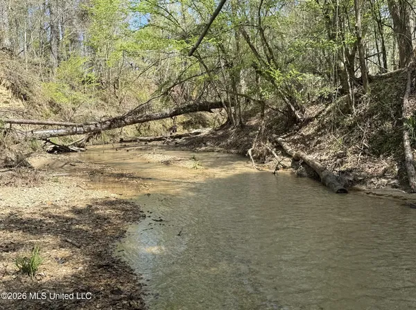 $994,000 | Oldenburg Road, Meadville, MS 39653