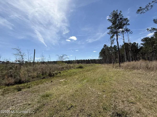 $994,000 | Oldenburg Road, Meadville, MS 39653