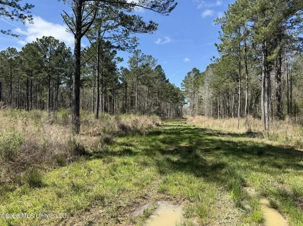 $994,000 | Oldenburg Road, Meadville, MS 39653