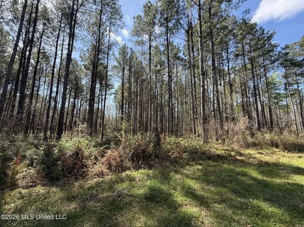 $994,000 | Oldenburg Road, Meadville, MS 39653