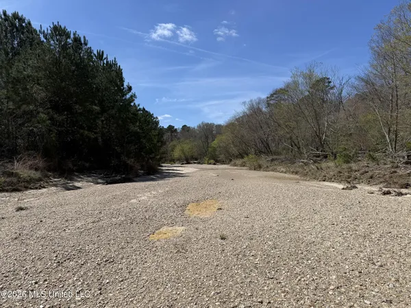 $994,000 | Oldenburg Road, Meadville, MS 39653