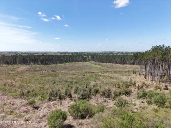 $994,000 | Oldenburg Road, Meadville, MS 39653
