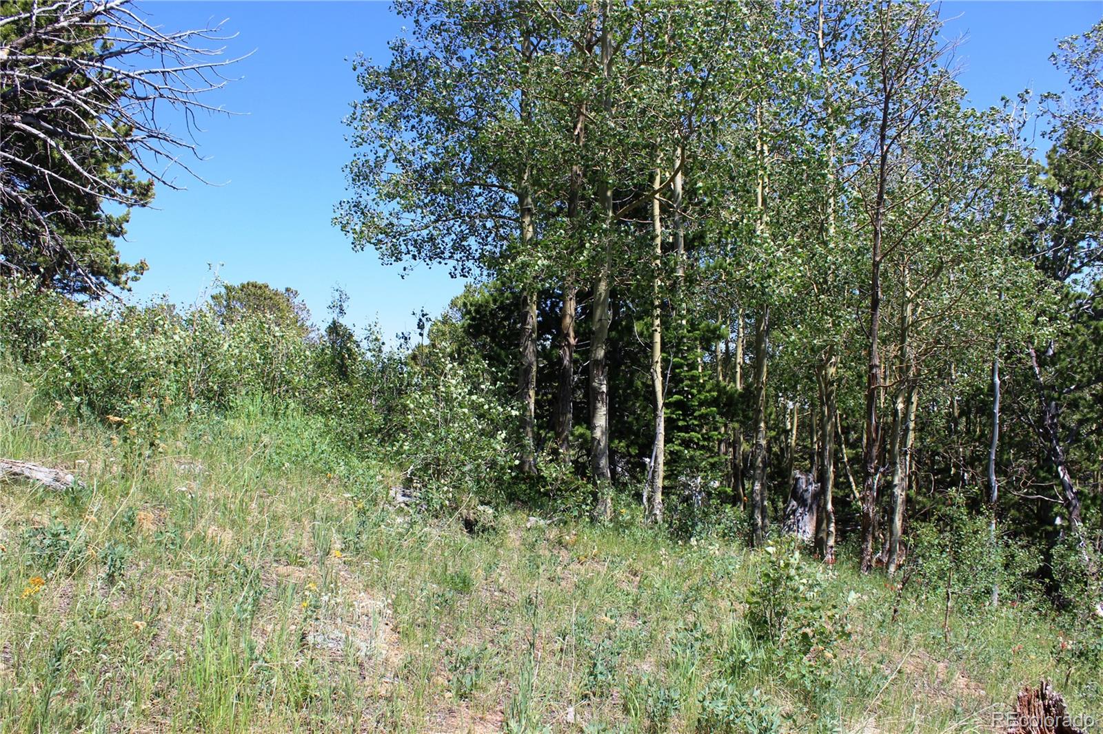 1595 Missouri Gulch Road Black Hawk, CO 80422 - Photo 36 of 49