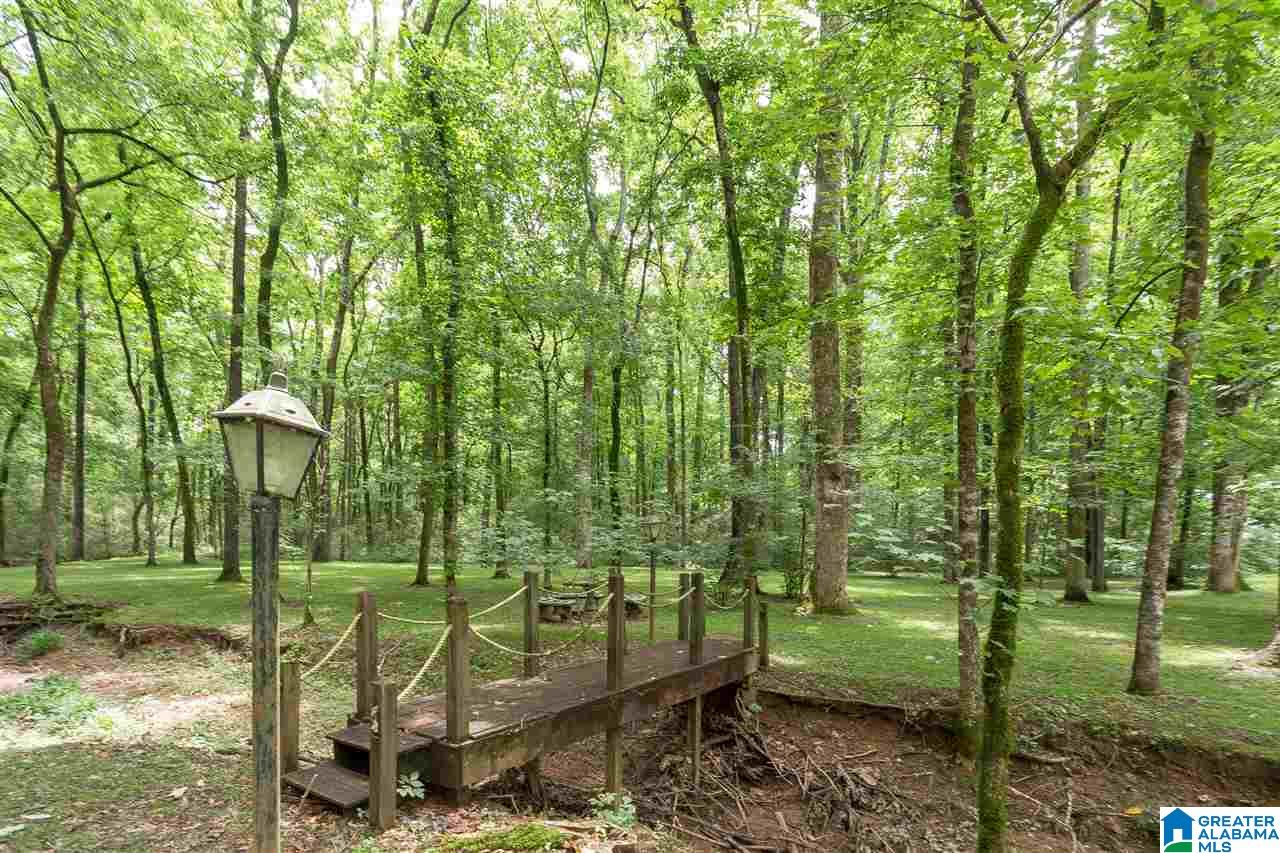 2333 Montevallo Road Southwest Leeds, AL 35094 - Photo 48 of 50