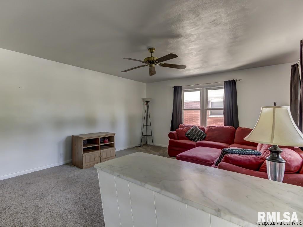 23 Monica Court Springfield, IL 62702 - Photo 5 of 27