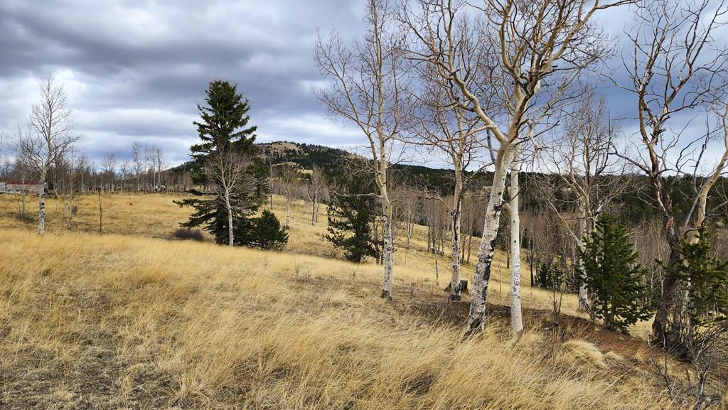 0 County Road Victor, CO 80860 - Photo 8 of 21