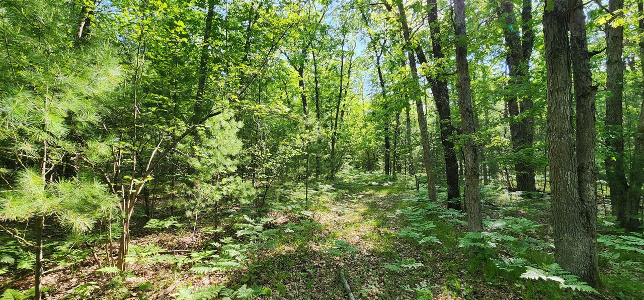 7 Mile Road Free Soil, MI 49411 - Photo 9 of 14