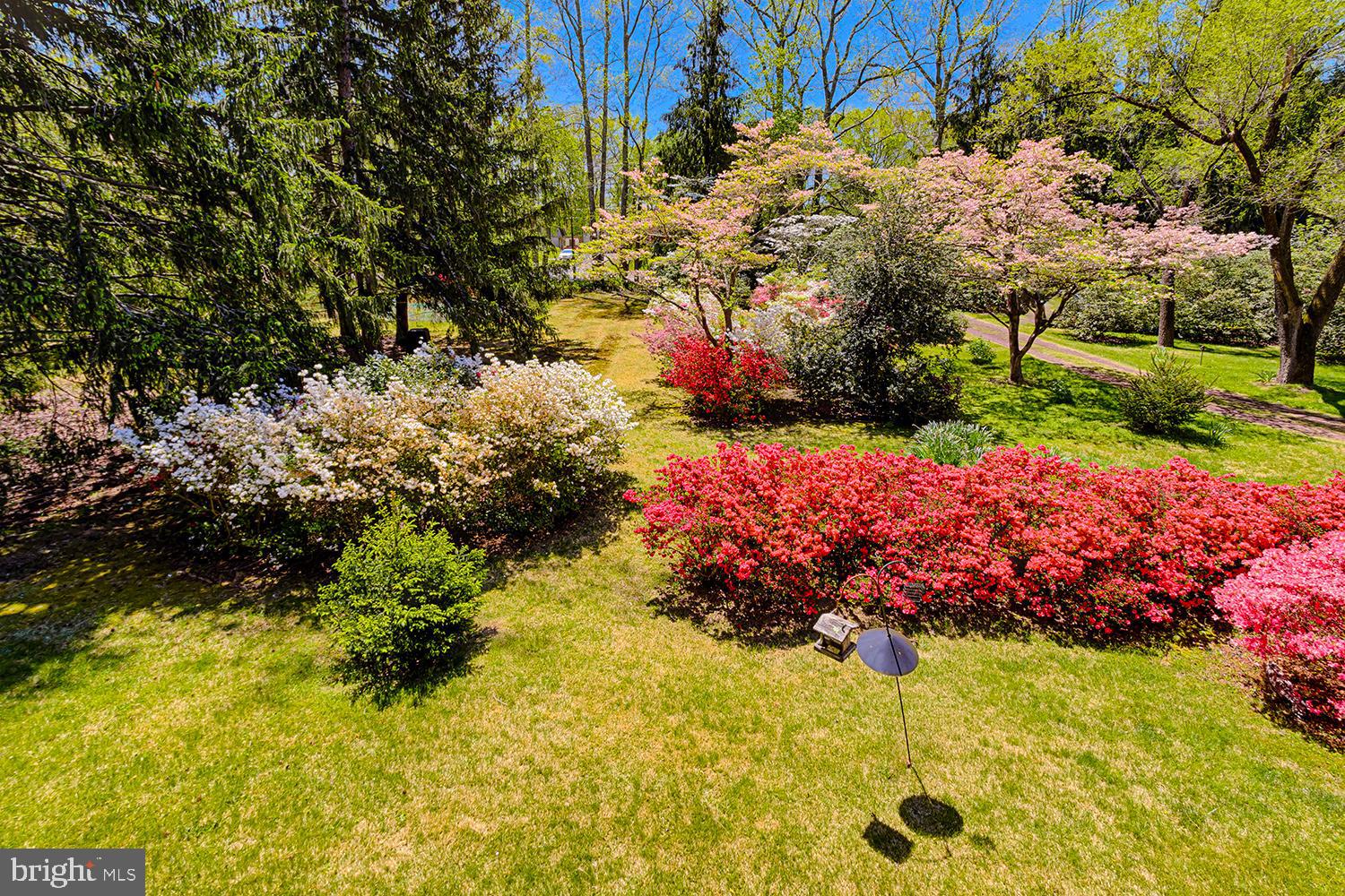 420 Medford Lakes Road Tabernacle, NJ 08088 - Photo 29 of 35 backyard