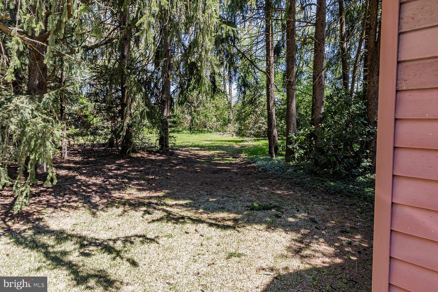 420 Medford Lakes Road Tabernacle, NJ 08088 - Photo 31 of 35 Back yard