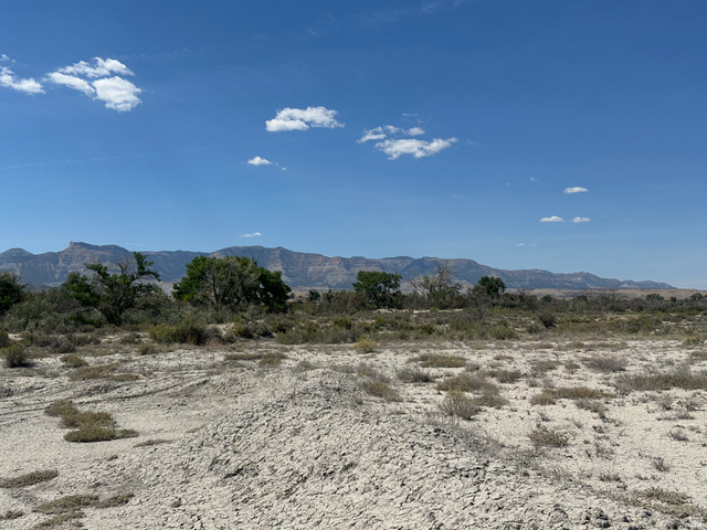 3250 Highway 155 Cleveland, UT 84518 - Photo 5 of 5 View of mountain backdrop
