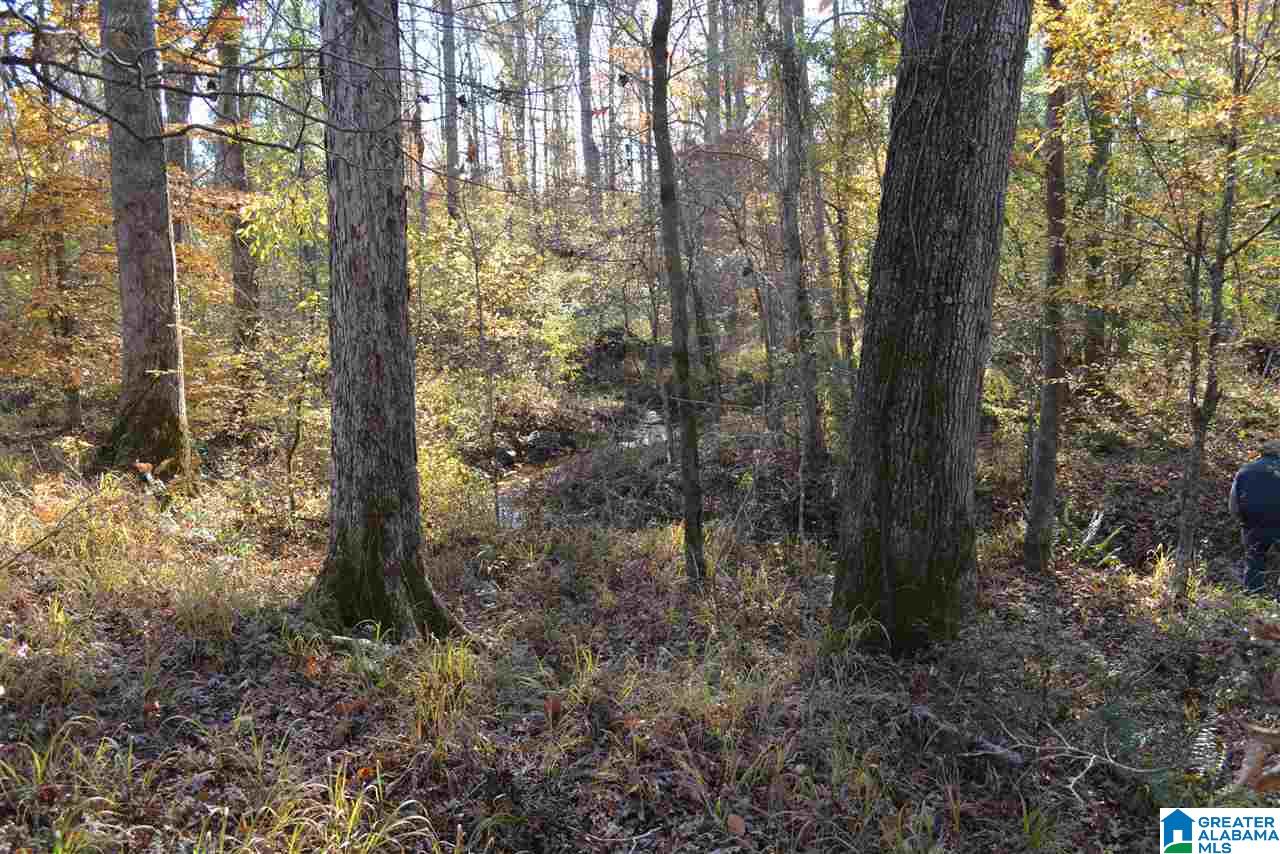 8333 Chelsea Road, Unit 2 Columbiana, AL 35051 - Photo 9 of 13