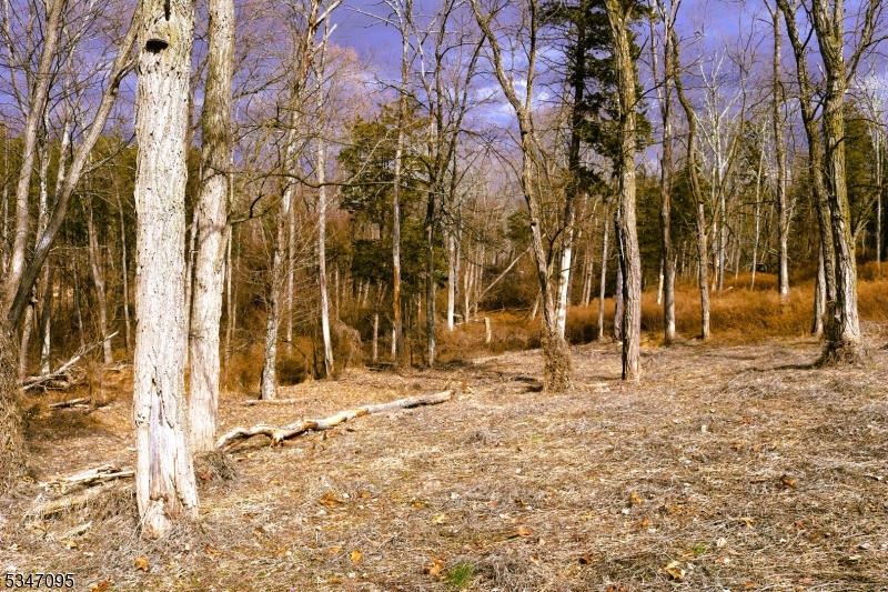 135 North Locust Lake Road Blairstown, NJ 07825 - Photo 12 of 15