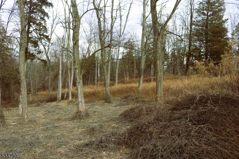 135 North Locust Lake Road Blairstown, NJ 07825 - Photo 13 of 15