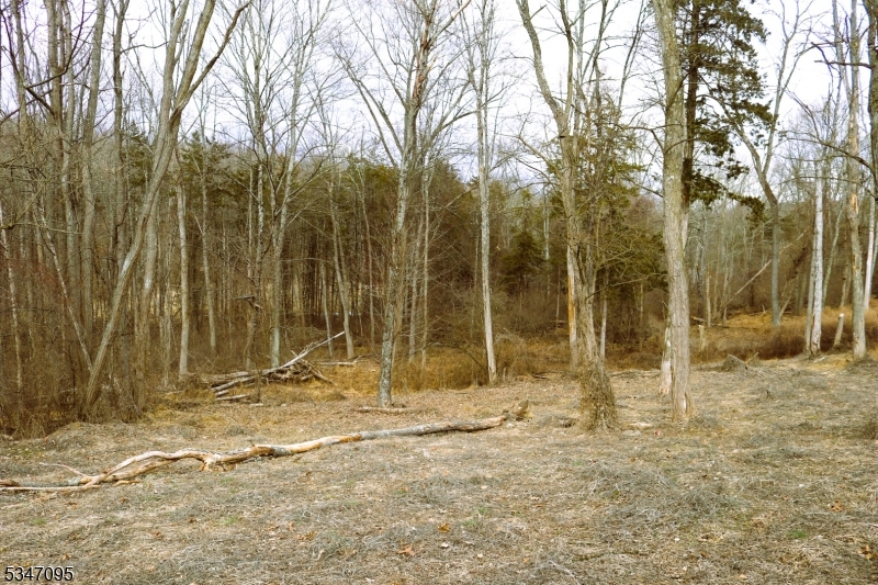 135 North Locust Lake Road Blairstown, NJ 07825 - Photo 14 of 15